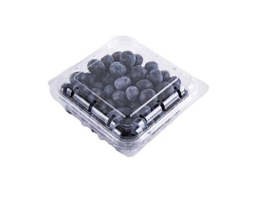Jumbo Blueberry  ( 1 Pack ) image 0