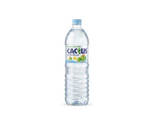 Mineral Water Cactus image 0
