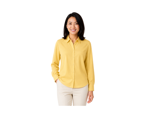 Long Sleeve Blouse Agenda image 0