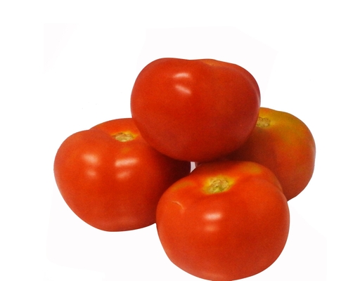 Local Tomato image 0