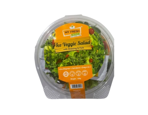Ice Veggie Salad My Fresh image 0