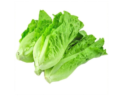 Salad King Lettuce USFL image 0
