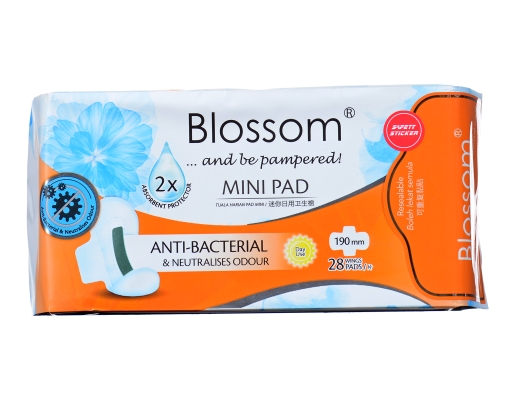 Antibacterial Day Long Mini Pad Wing 190Mm Blossom image 0
