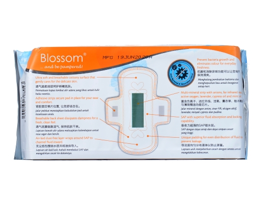 Antibacterial Day Long Mini Pad Wing 190Mm Blossom image 1