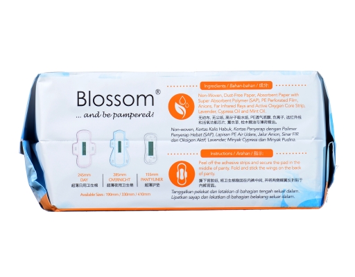 Antibacterial Day Long Mini Pad Wing 190Mm Blossom image 2