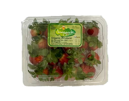 Organic Strawberry KK Hoganik image 0