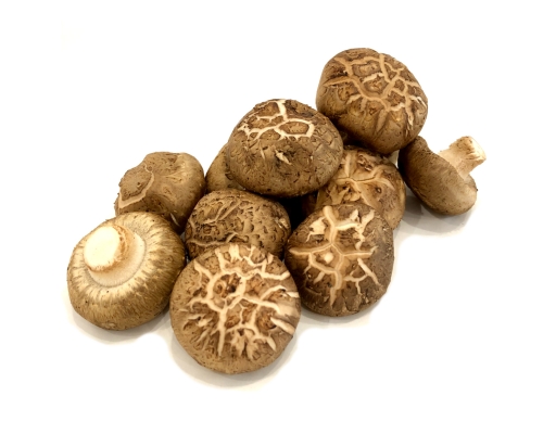 China Shiitake Mushroom image 0