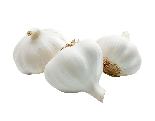 White Garlic image 0