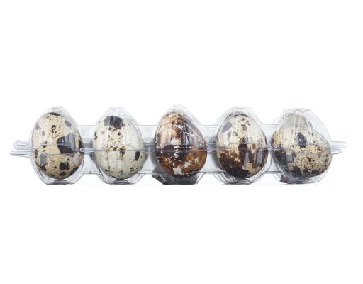 Quail Eggs LKH image 1