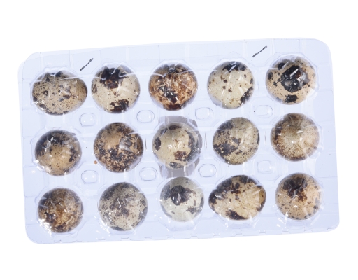 Quail Eggs LKH image 2