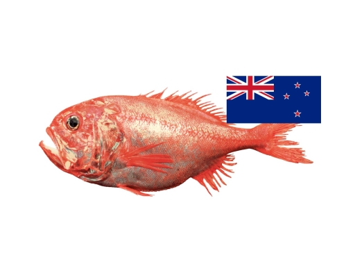 New Zealand Orange Roughy | myaeon2go