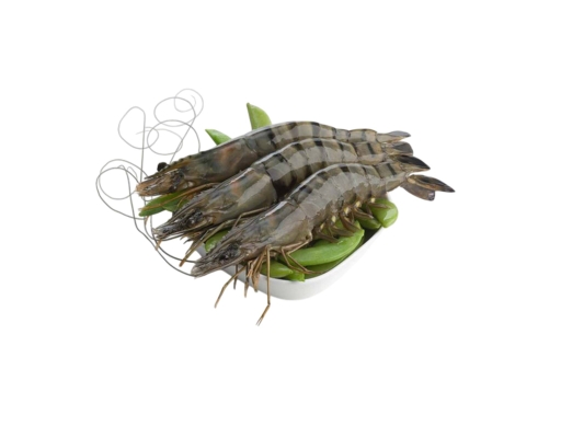 Udang Harimau XXL image 0