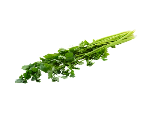 Edsam Chinese Celery | myaeon2go