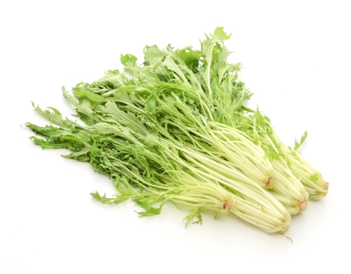 Chitose Mizuna (Rocket) 150g | Fresh & Crisp Leafy Greens | myAEON2go