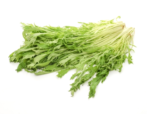 Chitose Mizuna (Rocket) 150g | Fresh & Crisp Leafy Greens | myAEON2go