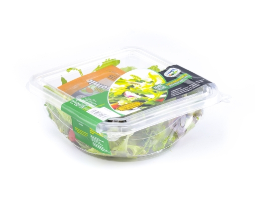 Italian Rocket Salad Bowl Genting Garden image 1
