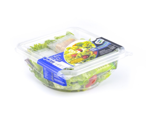 Garden Salad Bowl Genting Garden image 1