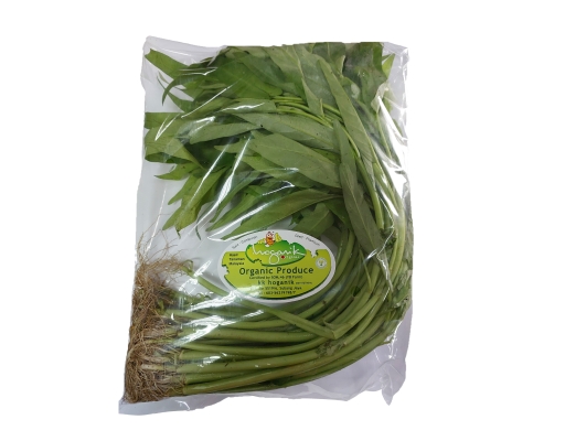 Organic Kangkung KK Hoganik image 0