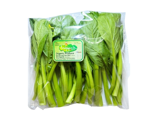 Choy Sum Organic KK Hoganik image 0