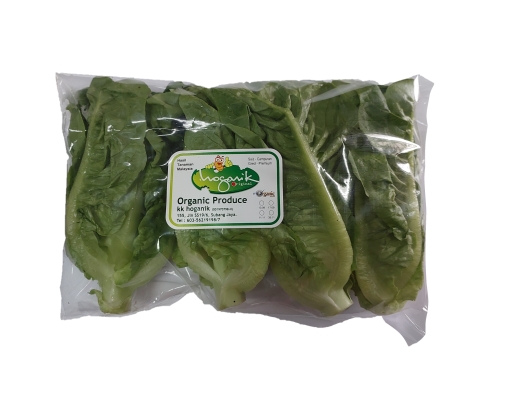 Organic Mini Cos Lettuce KK Hoganik image 0