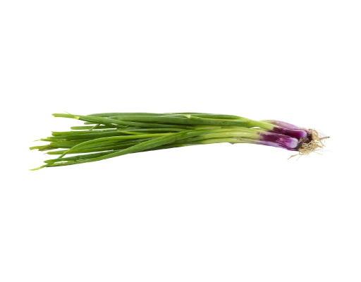 Spring Onion Edsam image 0