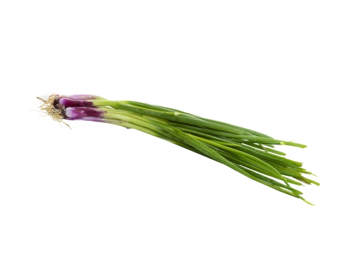 Edsam Spring Onion, Malaysia, 100g - Fresh Produce