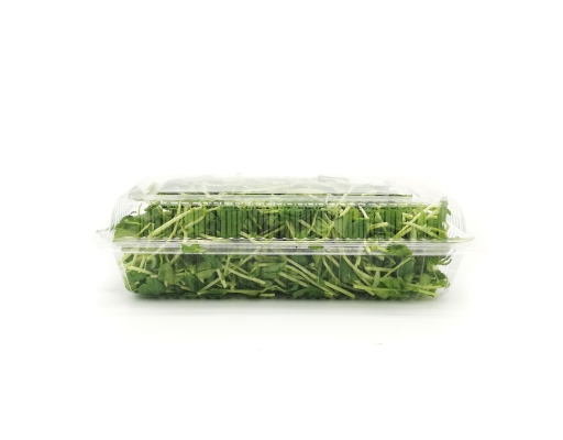 Organic Pea Sprout Zenxin image 1
