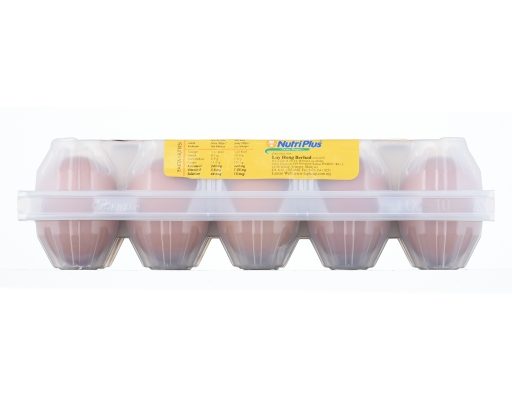 Eggs With Organic Selenium M Nutriplus image 2