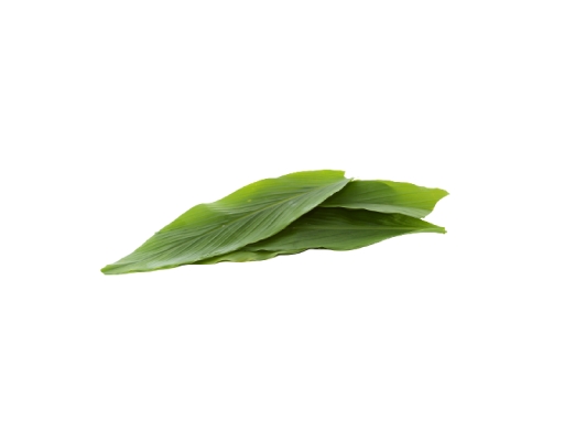 Daun Kunyit image 0