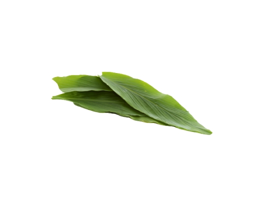 Daun Kunyit image 1