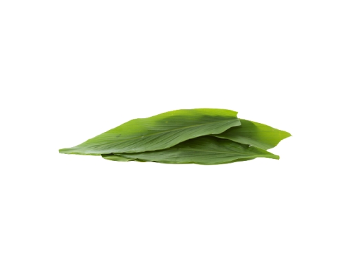 Daun Kunyit image 2