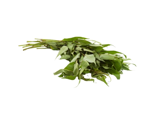 Daun Kessum image 2