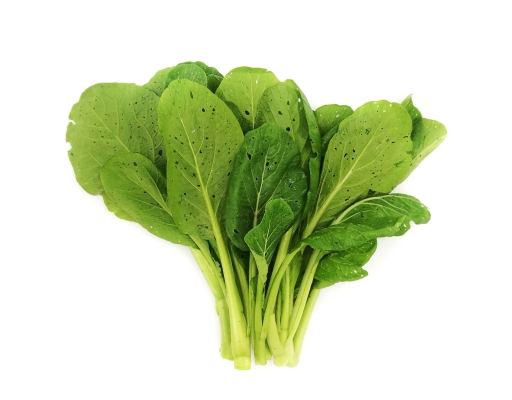 Organic Hong Kong Choy Sum Zenxin image 0