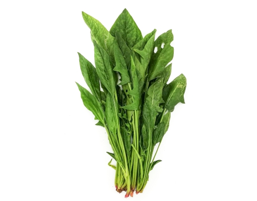 Organic Spinach Zenxin image 0