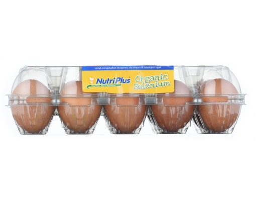 Organic Selenium Nutriplus image 2
