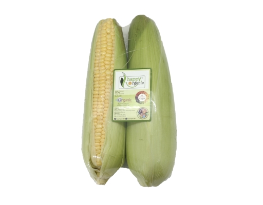 Organic Sweet Corn Happy Organic image 0