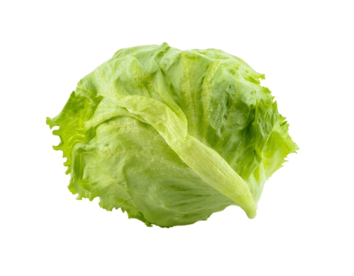 Cameron Iceberg Lettuce Segar2go image 0