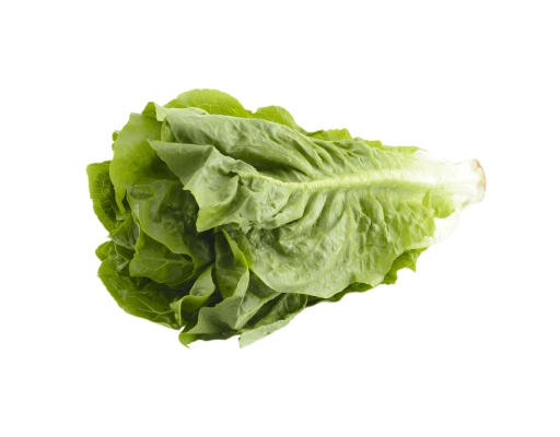 Romaine Lettuce Segar2go image 0