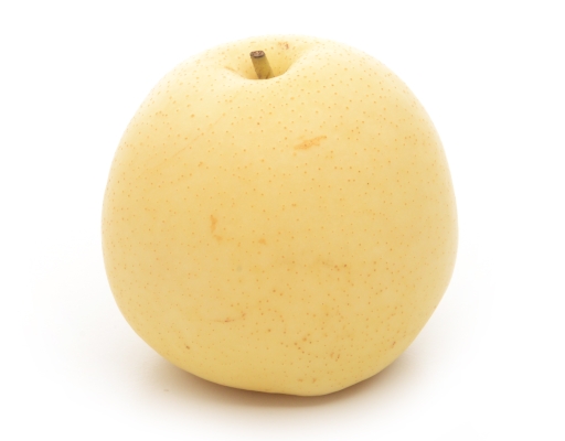 China Century Pear XL image 0