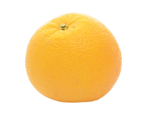 South Africa Navel Orange image 0