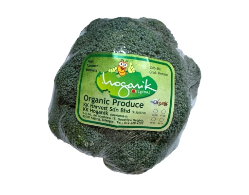 Broccoli Organic KK Hoganik image 0
