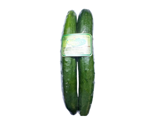 Japanese Cucumber Organic KK Hoganik image 0