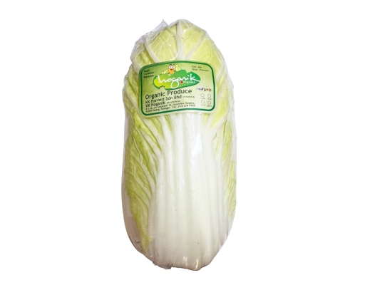 Chinese Cabbage Organic KK Hoganik image 0
