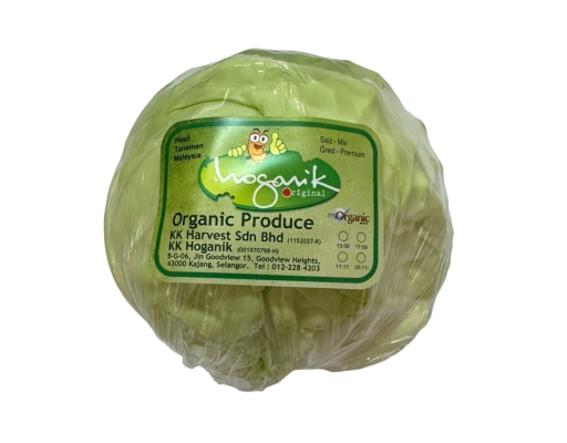 Beijing Sweet Cabbage Organic KK Hoganik image 0