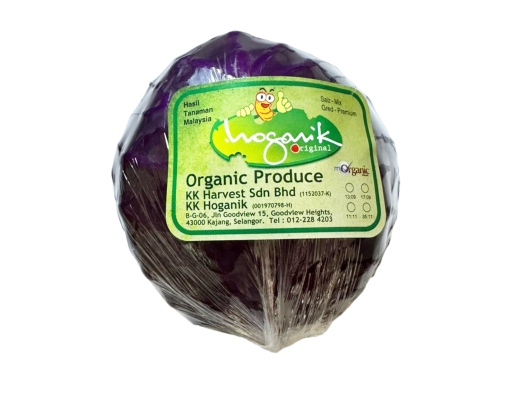 Red Cabbage Organic KK Hoganik image 0