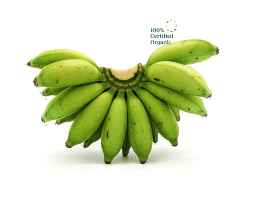 Organic Banana Zenxin image 0
