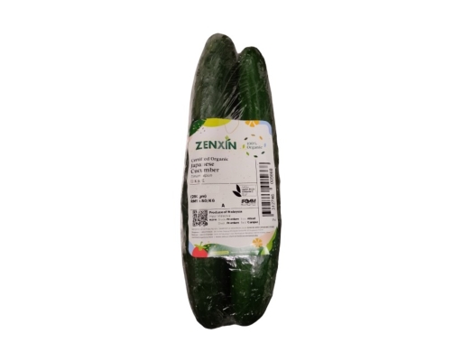 Organic Japanese Cucumber Zenxin image 0
