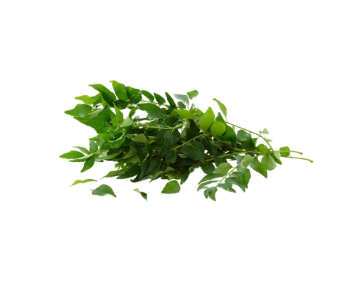 Curry Leaves image 0
