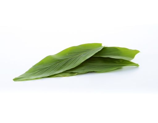 Daun Kunyit Mr. Green image 0