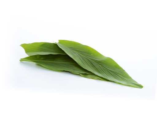 Daun Kunyit Mr. Green image 1